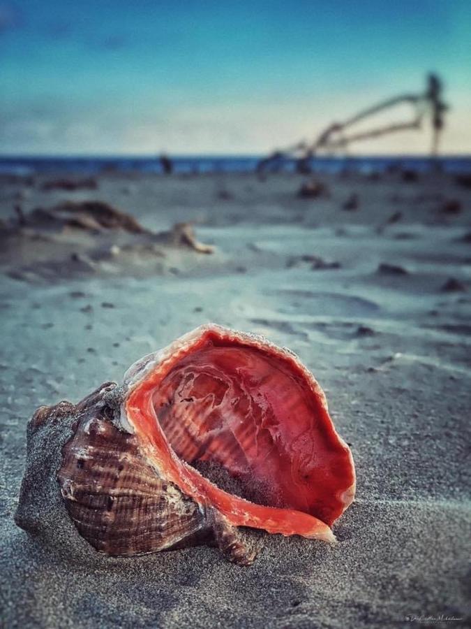 Wave 2 Mamaia Prima Linie Vedere La Mare 120Mp Năvodari Exterior foto